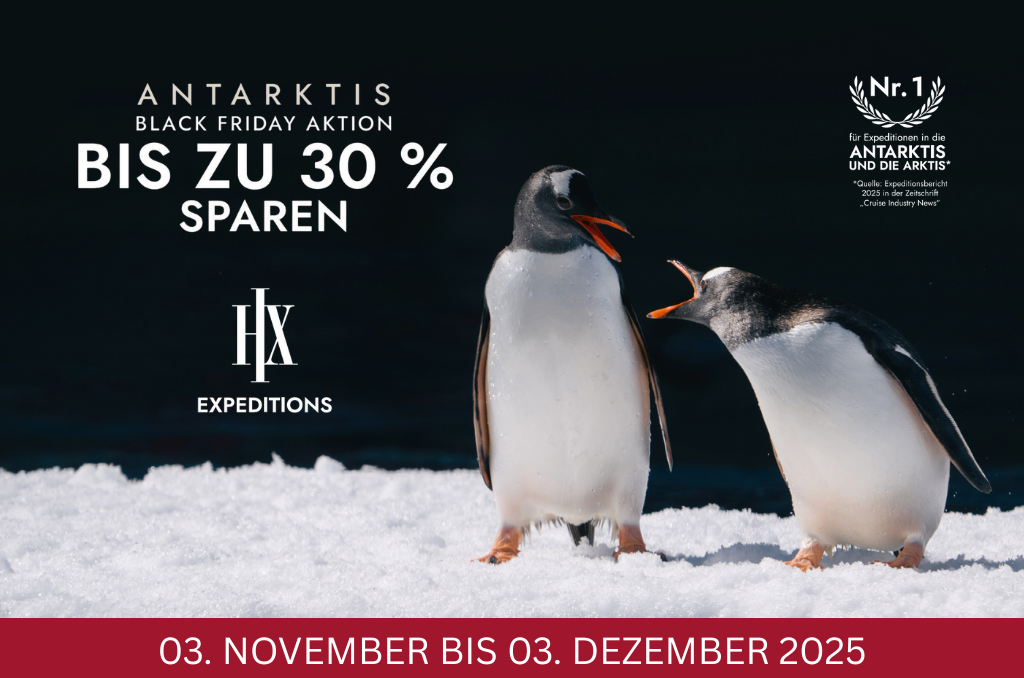 Zwei Pinguine auf Eis, darüber der Text "ANTARKTIS BLACK FRIDAY AKTION BIS ZU 30 % SPAREN".