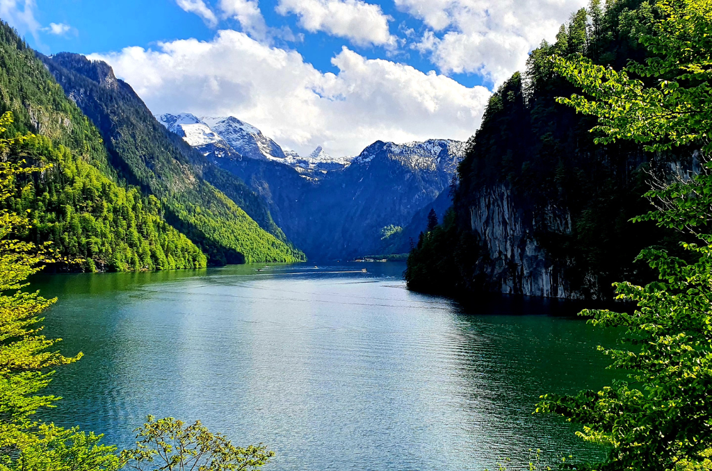 Blick auf den Königssee, umgeben von steilen, bewaldeten Bergen. Im Hintergrund sind schneebedeckte Gipfel sichtbar. Der Himmel ist blau mit weißen Wolken, und das Wasser spiegelt teilweise die Landschaft wider. Im Vordergrund rahmen grüne Bäume den See ein.