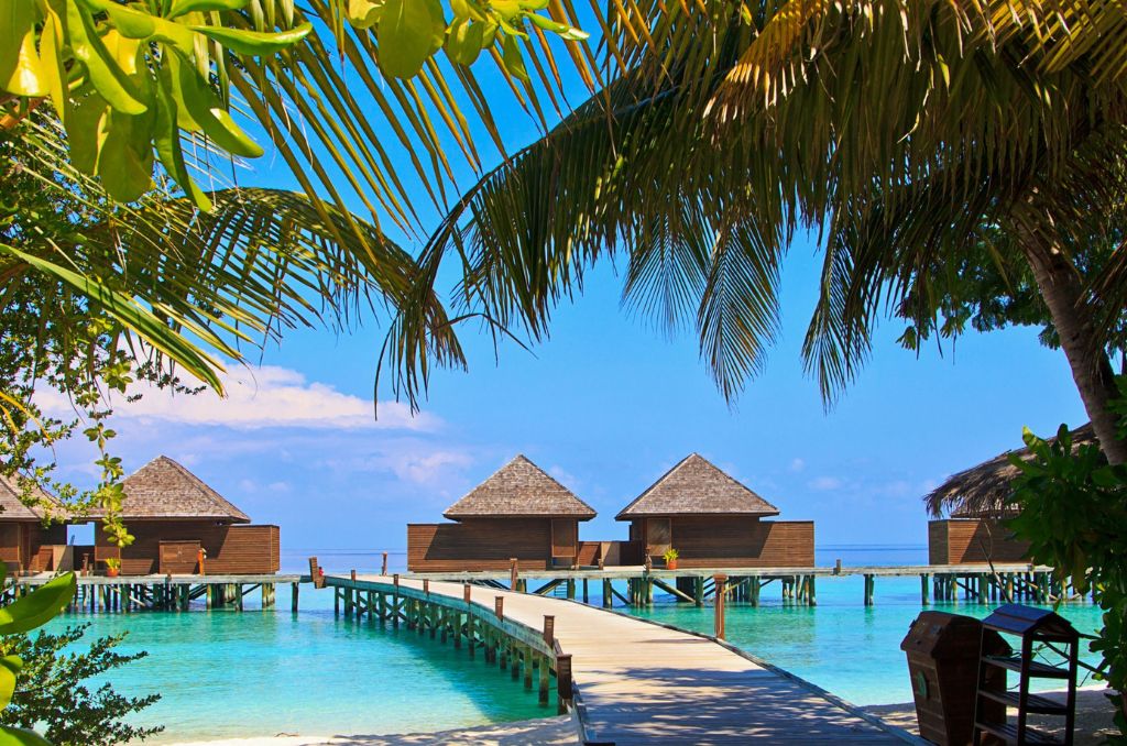 Ein Holzsteg führt über türkisfarbenes Wasser zu Wasserbungalows auf Pfählen. Palmblätter rahmen die tropische Urlaubsszene ein. Ein Holzsteg führt über türkisfarbenes Wasser zu Wasserbungalows auf Pfählen. Palmblätter rahmen die tropische Urlaubsszene ein.